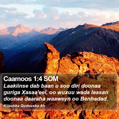 Caamoos 1:4 SOM Bible Verse Image