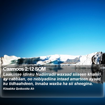Caamoos 2:12 SOM Bible Verse Image