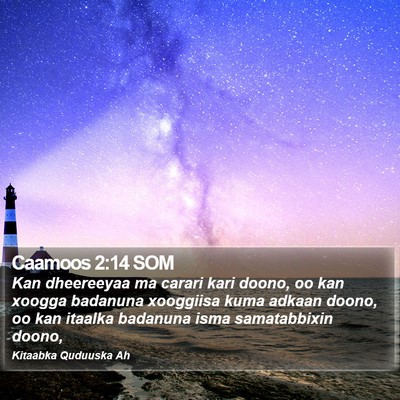 Caamoos 2:14 SOM Bible Verse Image