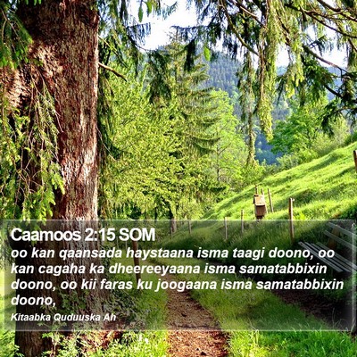 Caamoos 2:15 SOM Bible Verse Image
