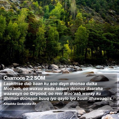 Caamoos 2:2 SOM Bible Verse Image