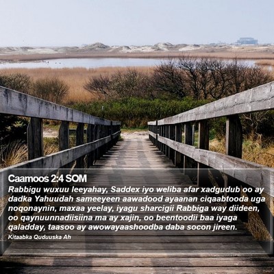 Caamoos 2:4 SOM Bible Verse Image
