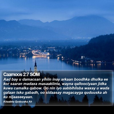Caamoos 2:7 SOM Bible Verse Image