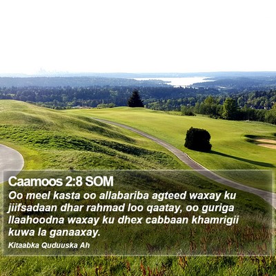 Caamoos 2:8 SOM Bible Verse Image