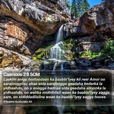 Caamoos 2:9 SOM Bible Verse Image
