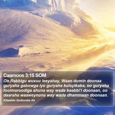 Caamoos 3:15 SOM Bible Verse Image
