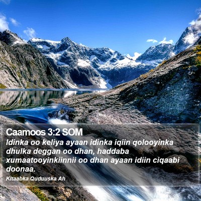 Caamoos 3:2 SOM Bible Verse Image