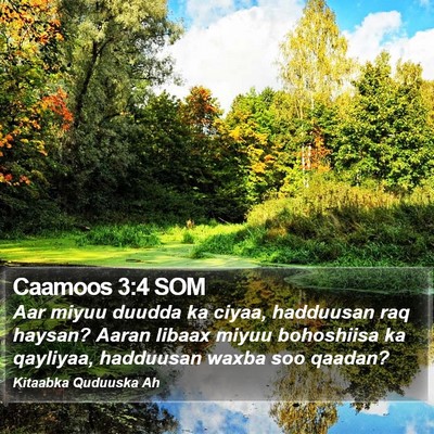 Caamoos 3:4 SOM Bible Verse Image