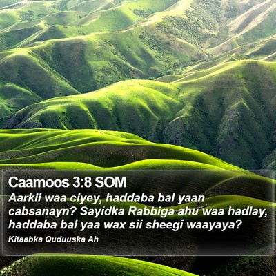 Caamoos 3:8 SOM Bible Verse Image
