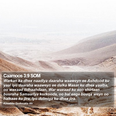 Caamoos 3:9 SOM Bible Verse Image