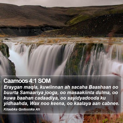 Caamoos 4:1 SOM Bible Verse Image