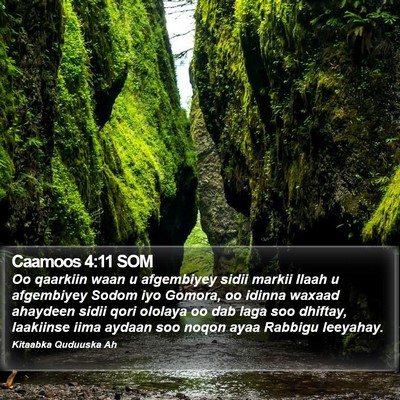 Caamoos 4:11 SOM Bible Verse Image