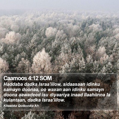 Caamoos 4:12 SOM Bible Verse Image