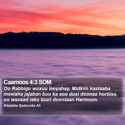 Caamoos 4:3 SOM Bible Verse Image
