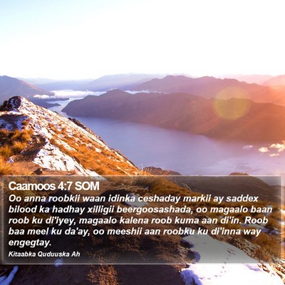Caamoos 4:7 SOM Bible Verse Image