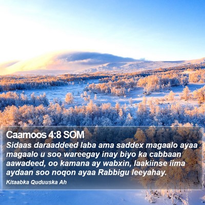 Caamoos 4:8 SOM Bible Verse Image