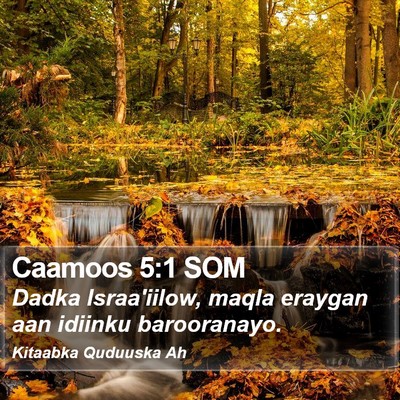 Caamoos 5:1 SOM Bible Verse Image