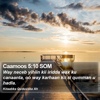 Caamoos 5:10 SOM Bible Verse Image