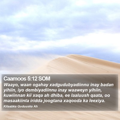 Caamoos 5:12 SOM Bible Verse Image