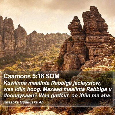 Caamoos 5:18 SOM Bible Verse Image