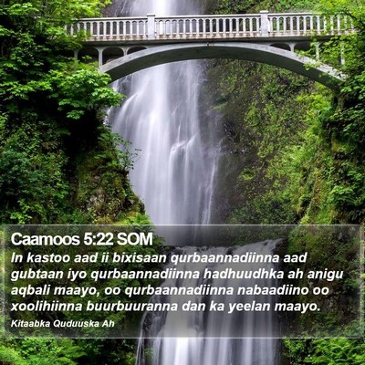 Caamoos 5:22 SOM Bible Verse Image