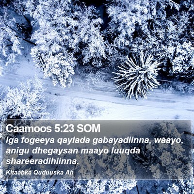 Caamoos 5:23 SOM Bible Verse Image