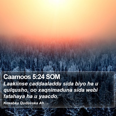 Caamoos 5:24 SOM Bible Verse Image