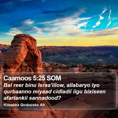Caamoos 5:25 SOM Bible Verse Image