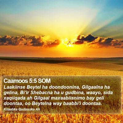 Caamoos 5:5 SOM Bible Verse Image