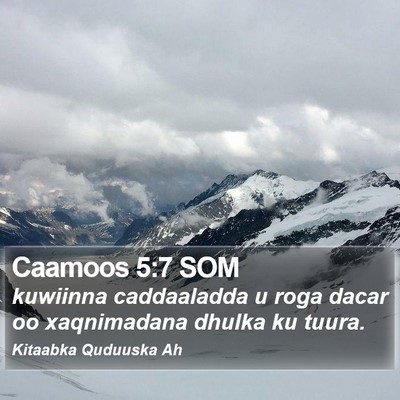 Caamoos 5:7 SOM Bible Verse Image