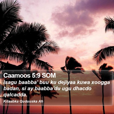 Caamoos 5:9 SOM Bible Verse Image