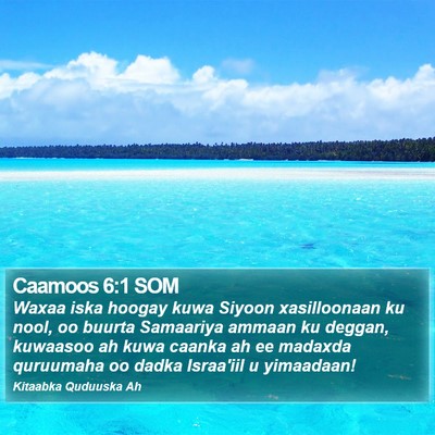 Caamoos 6:1 SOM Bible Verse Image
