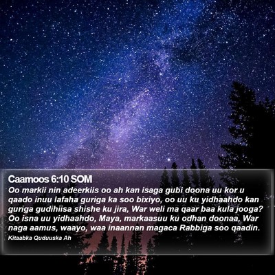 Caamoos 6:10 SOM Bible Verse Image