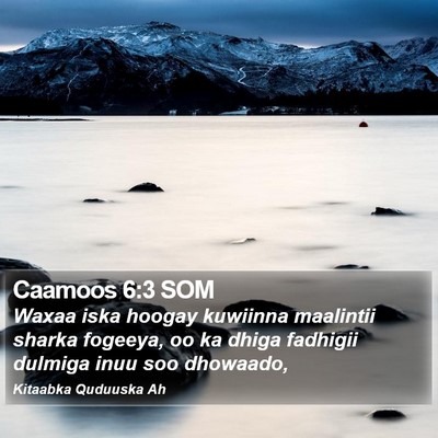 Caamoos 6:3 SOM Bible Verse Image
