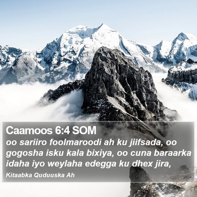 Caamoos 6:4 SOM Bible Verse Image