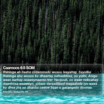 Caamoos 6:8 SOM Bible Verse Image