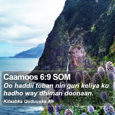 Caamoos 6:9 SOM Bible Verse Image