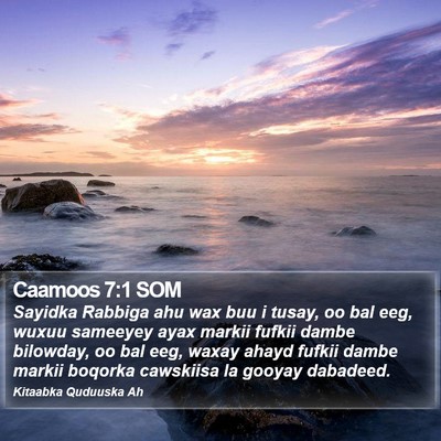Caamoos 7:1 SOM Bible Verse Image