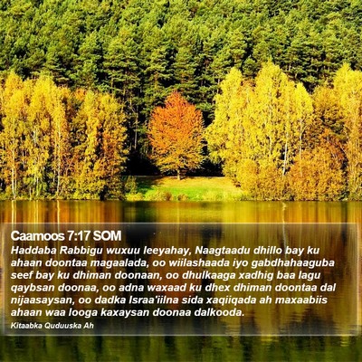 Caamoos 7:17 SOM Bible Verse Image