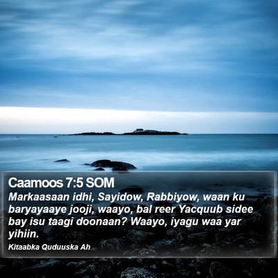 Caamoos 7:5 SOM Bible Verse Image