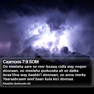 Caamoos 7:9 SOM Bible Verse Image
