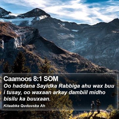 Caamoos 8:1 SOM Bible Verse Image