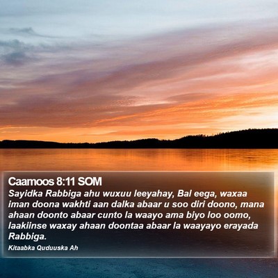 Caamoos 8:11 SOM Bible Verse Image