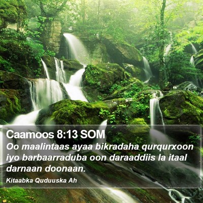 Caamoos 8:13 SOM Bible Verse Image