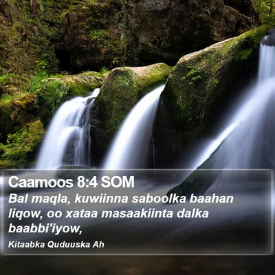 Caamoos 8:4 SOM Bible Verse Image