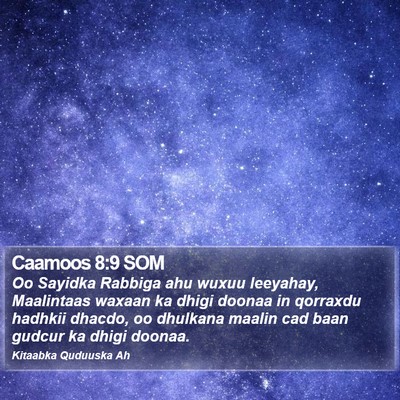 Caamoos 8:9 SOM Bible Verse Image