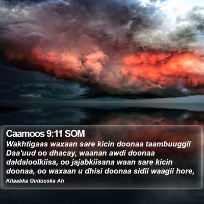 Caamoos 9:11 SOM Bible Verse Image