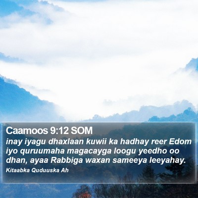 Caamoos 9:12 SOM Bible Verse Image
