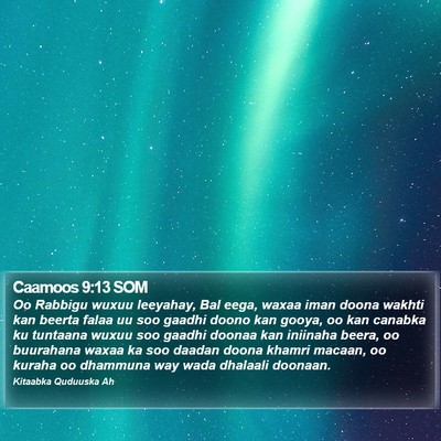 Caamoos 9:13 SOM Bible Verse Image