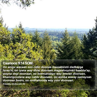Caamoos 9:14 SOM Bible Verse Image